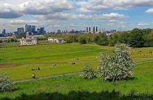 Зеленое пастбище для коров в устье реки, сокращенно Гринвич
