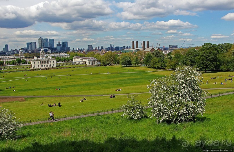 Зеленое пастбище для коров в устье реки, сокращенно Гринвич