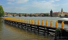 Марш пингвинов через Влтаву