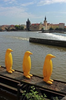 Марш пингвинов через Влтаву