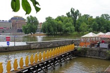 Марш пингвинов через Влтаву