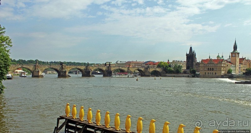 Марш пингвинов через Влтаву