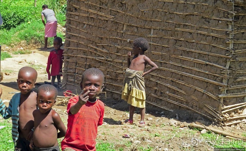 Надеюсь, что хоть пигмеи здесь были настоящие