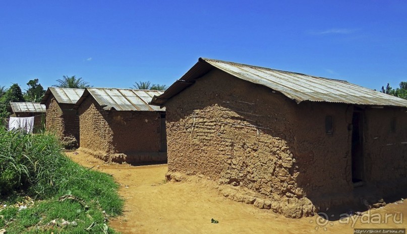 Надеюсь, что хоть пигмеи здесь были настоящие