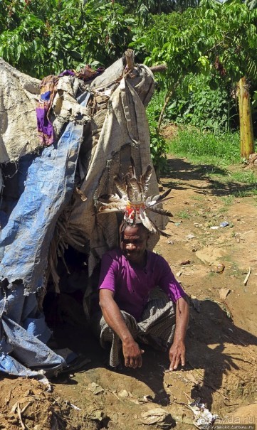 Надеюсь, что хоть пигмеи здесь были настоящие