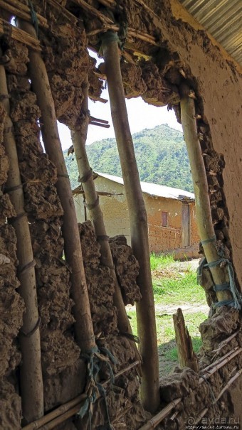 Надеюсь, что хоть пигмеи здесь были настоящие