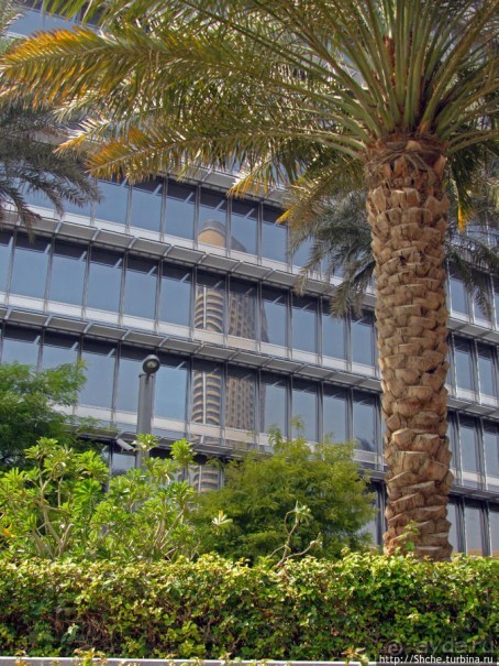 Площадь Эмаар — такая значимая, такая не значительная