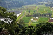 Гавайи — житница США? Почему бы и нет