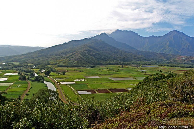 Гавайи — житница США? Почему бы и нет