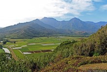 Гавайи — житница США? Почему бы и нет