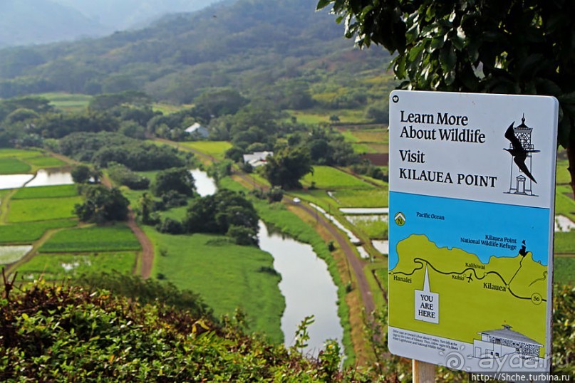 Гавайи — житница США? Почему бы и нет