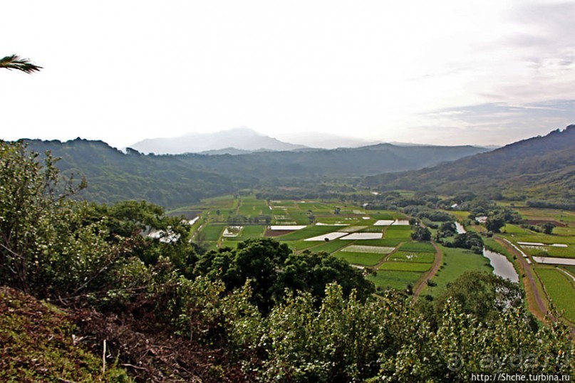 Гавайи — житница США? Почему бы и нет