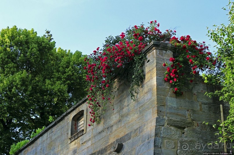 Неразбомбленный... Бамберг — объект ЮНЕСКО № 624