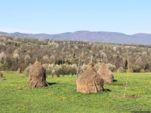Деревянные церкви Карпат. Регион Марамуреш, Румыния 