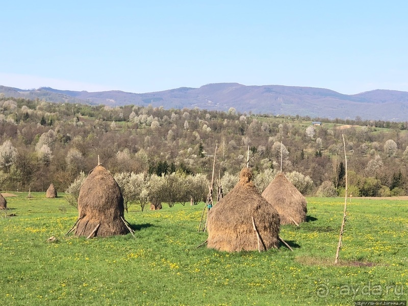 Деревянные церкви Карпат. Регион Марамуреш, Румыния 