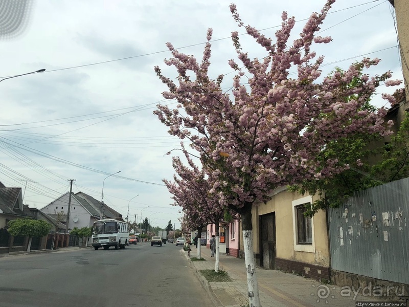 Деревянные церкви Карпат. Регион Марамуреш, Румыния 
