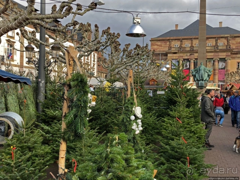 Рождественские метаморфозы. Площадь Бройи в Страсбурге