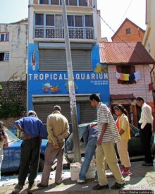 Отель "Палиссандр" и его окрестности