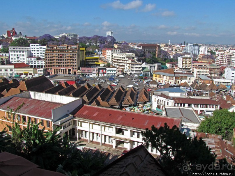 Отель "Палиссандр" и его окрестности