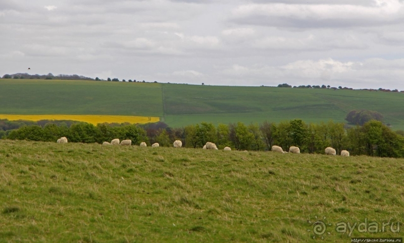 Windmill Hill — еще один неолитический объект в Эйвбери