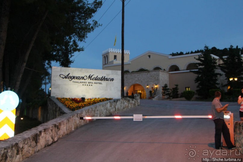 фото Каллифеи