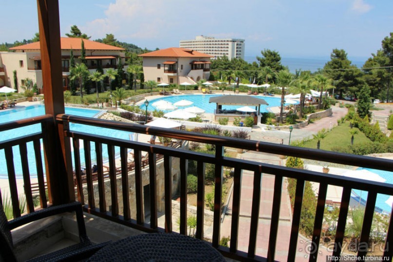 фото Каллифеи