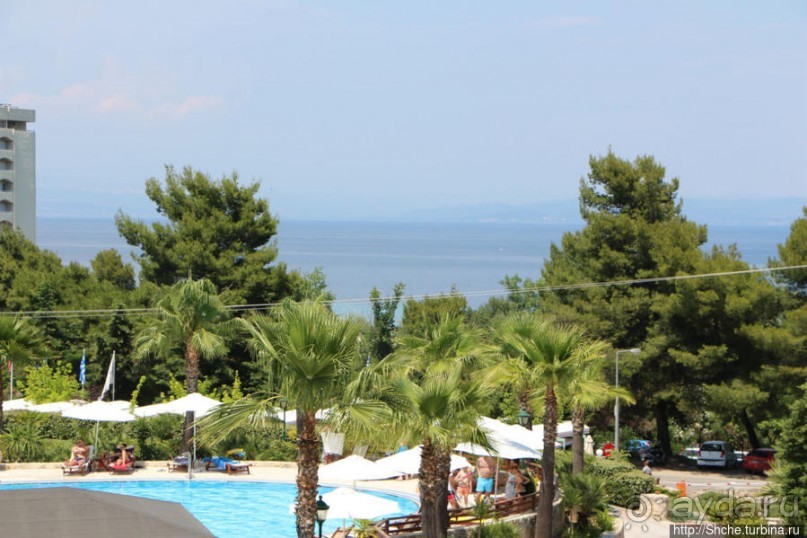 фото Каллифеи