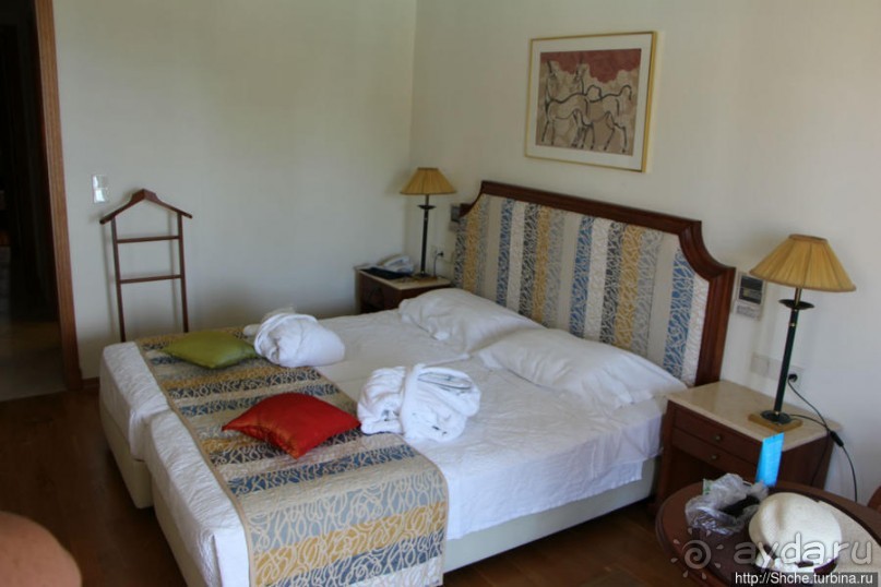 фото Каллифеи