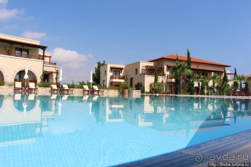 фото Каллифеи