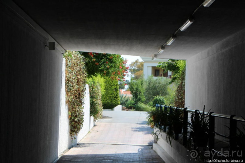 Пятизвездочный отдых на Кассандре