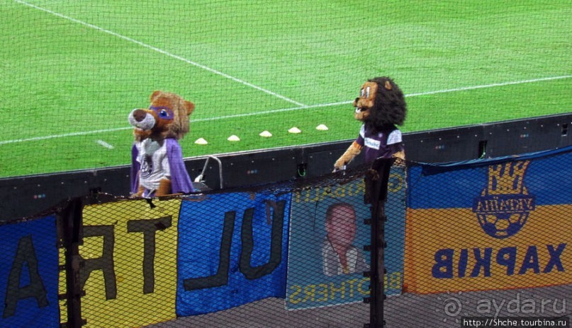 Мы приехали чтобы победить... "Аустрию"