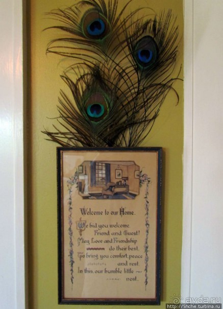 Семейный отель — 100% американская экзотика