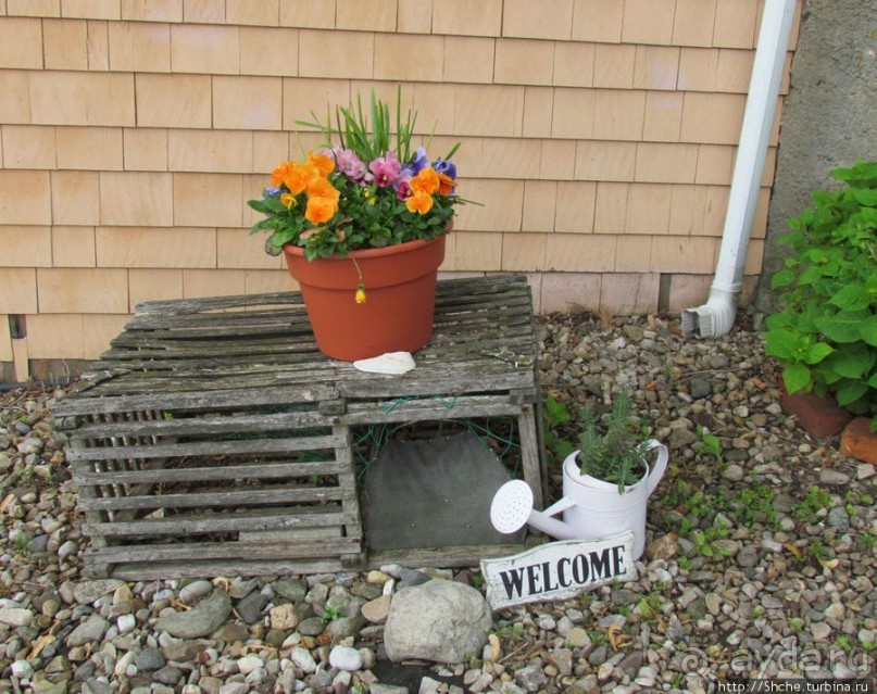 Семейный отель — 100% американская экзотика