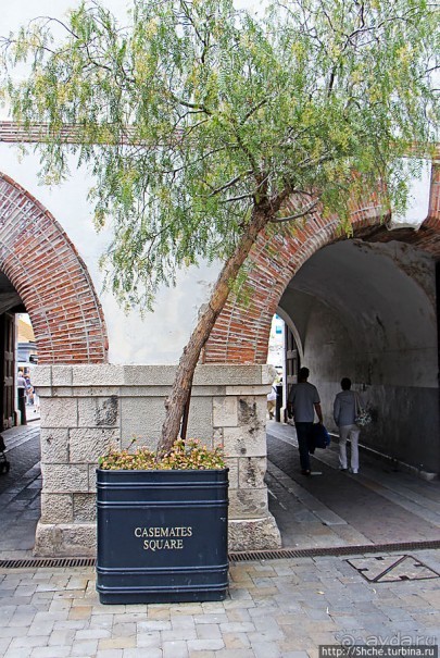 Центральная площадь Гибралтара Casemates Square