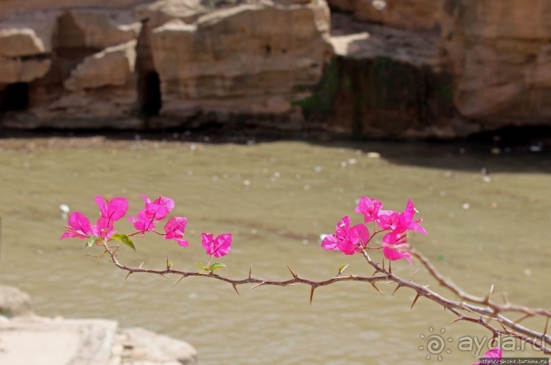 Гидравлическая система Шуштера, как шедевр творческого гения