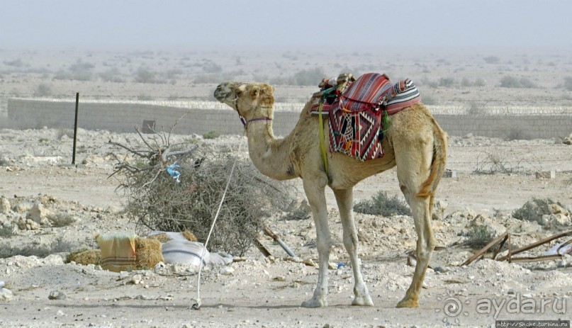 Аль Зубара. Катарский форт, отмеченный ЮНЕСКО (объект №1402)