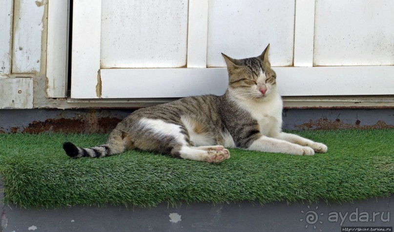 Аль Зубара. Катарский форт, отмеченный ЮНЕСКО (объект №1402)