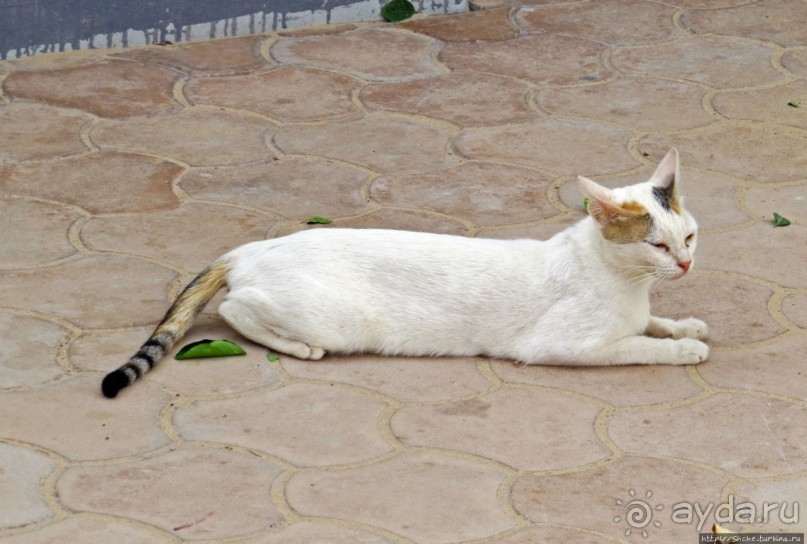 Аль Зубара. Катарский форт, отмеченный ЮНЕСКО (объект №1402)