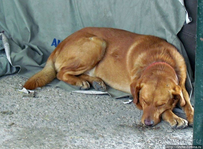 Микролимано — маленький, но самый колоритный залив Пирея