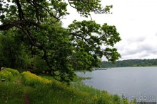 Кастелхольм... На берегах Ладанского залива