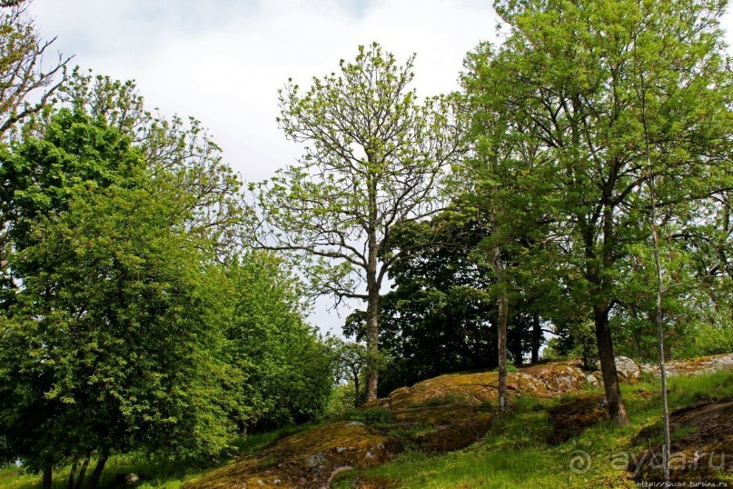 Кастелхольм... На берегах Ладанского залива
