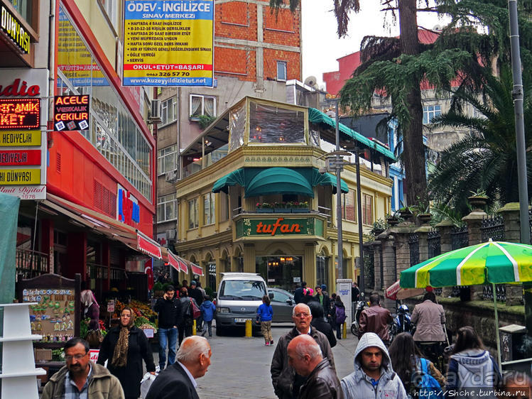 Трабзон черноморский