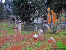 Трабзон черноморский