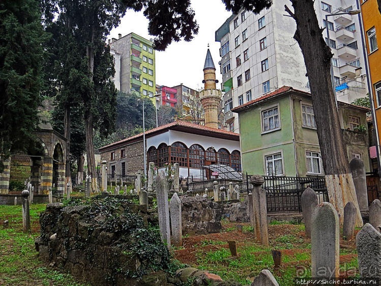 Трабзон черноморский