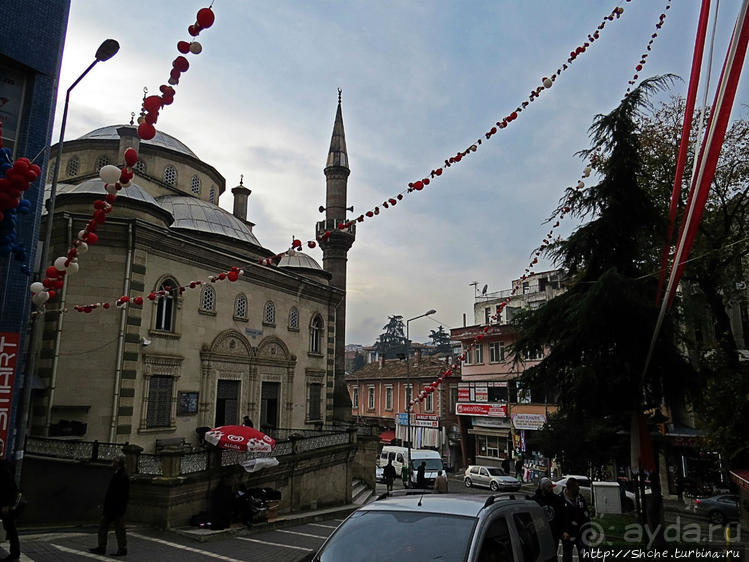 Трабзон черноморский