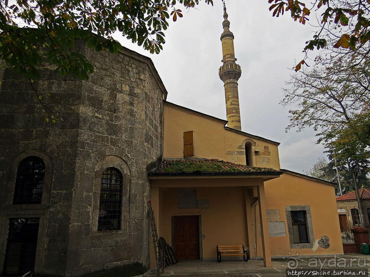 Трабзон черноморский