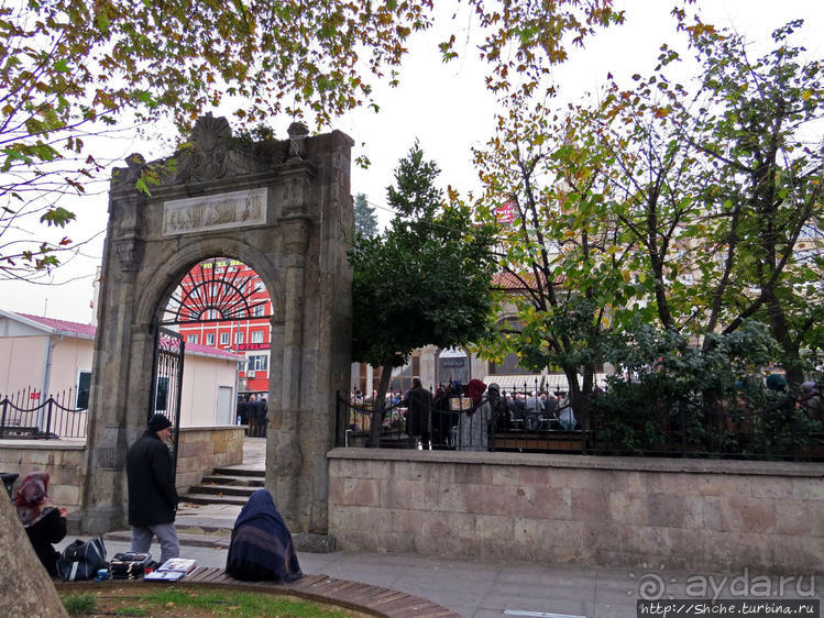 Трабзон черноморский