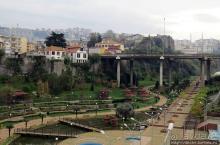 Трабзон черноморский