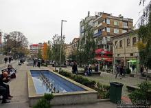 Трабзон черноморский