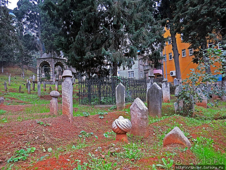 Трабзон черноморский